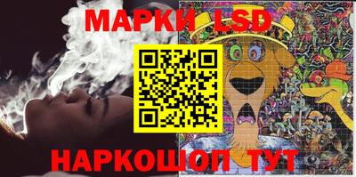 прущие грибы Будённовск