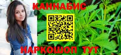 прущие грибы Будённовск