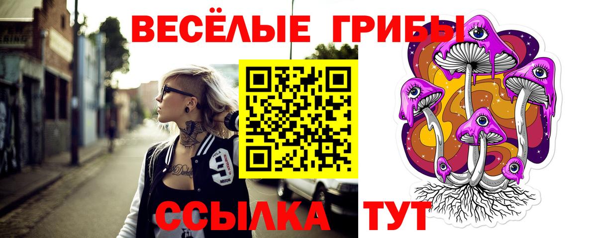 Галлюциногенные грибы мухоморы Усолье-Сибирское