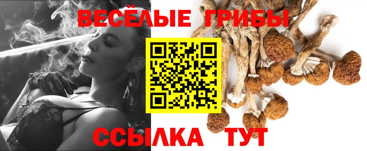 Усолье-Сибирское  Псилоцибиновые грибы ЛСД  Галлюциногенные грибы MAGIC MUSHROOMS  Вход с VPN 